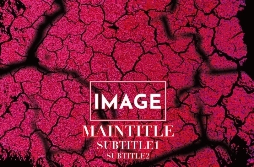 MEGAオリシャン(メガオリシャン)のオリシャン、オリジナルシャンパン A-13