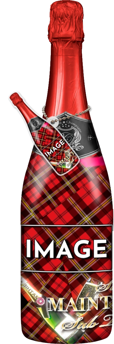 MEGAオリシャン(メガオリシャン)のオリシャン、オリジナルシャンパン D-7